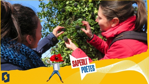 Saperli'poètes - Balade contée botanique