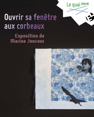Exposition "Ouvrir sa fenêtre aux corbeaux", Marine Joncour