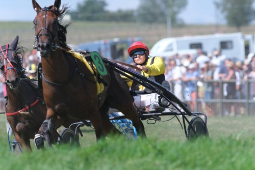 Courses Hippiques