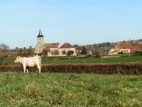 Fête du village et vide grenier