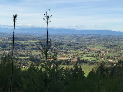 Marche de Chassigny-sous-Dun