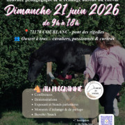 Journée pédagogique et d'échanges autour du cheval