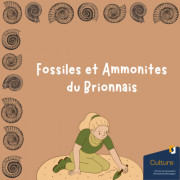 Fossiles et ammonites du Brionnais