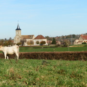 Fête du village et vide grenier
