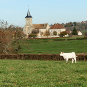 Marché créateurs et producteurs