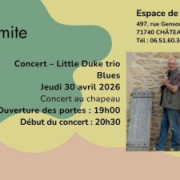 Concert Little Duke Trio