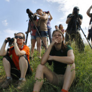 Sortie botanique et découverte des chants d'oiseaux à Vauban